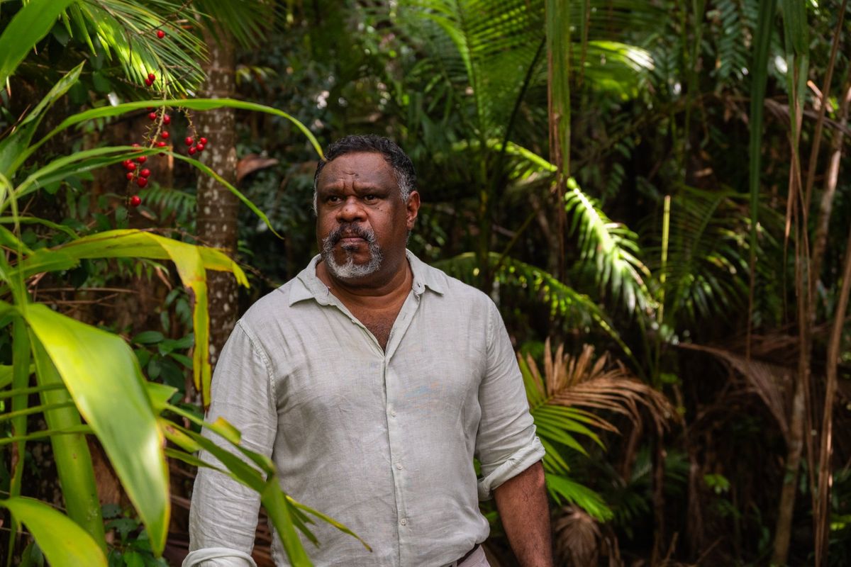 Budget misses opportunity to strengthen Indigenous-... | National ...