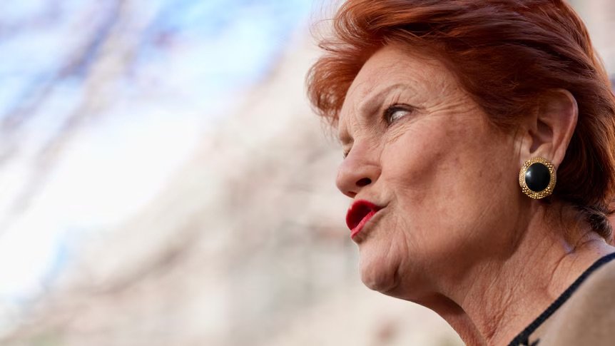 Pauline Hanson slammed for 'dehumanising' attack on First Peoples