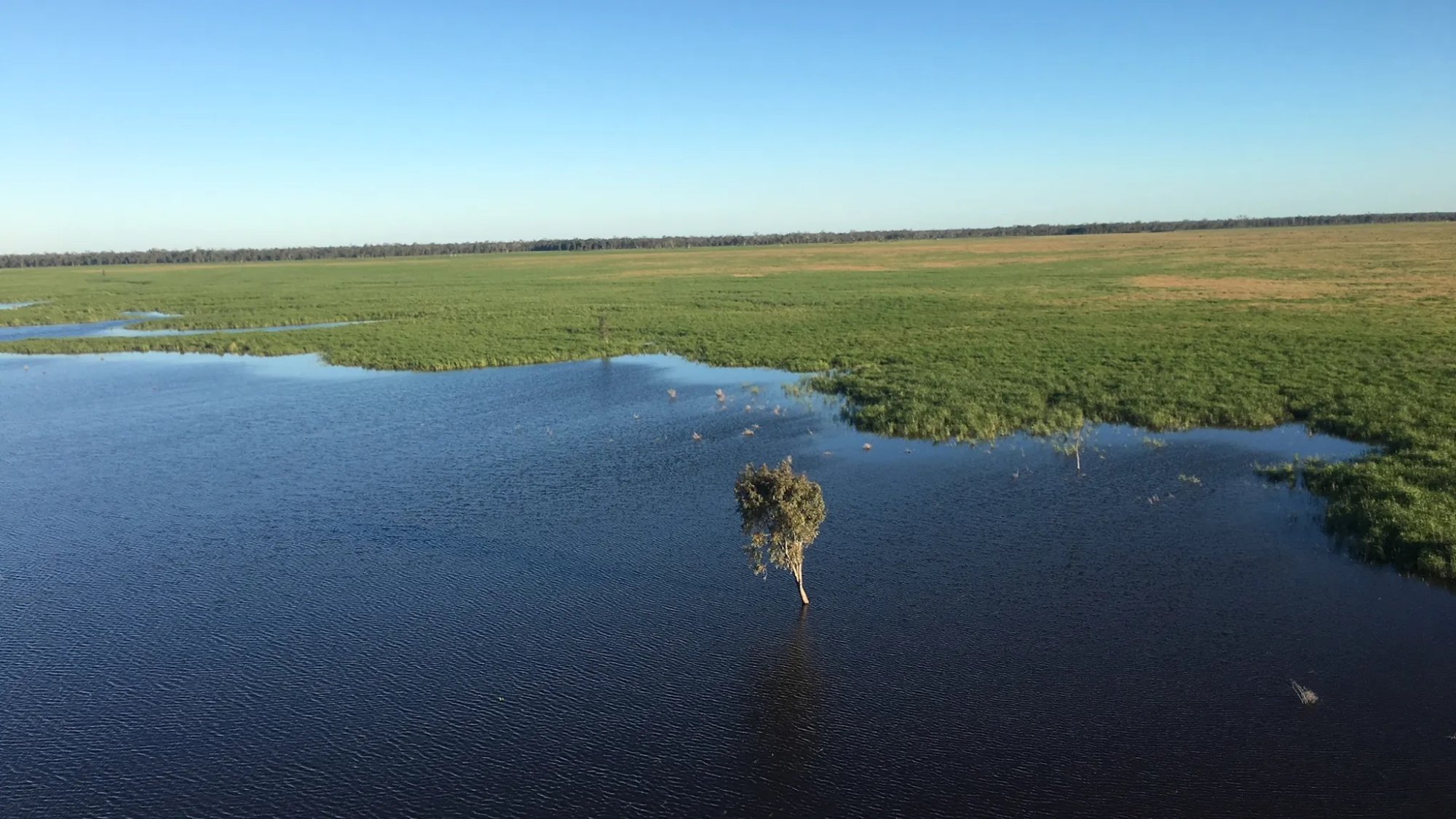 Significant wetland to remain in Indigenous hands following federal funding deal