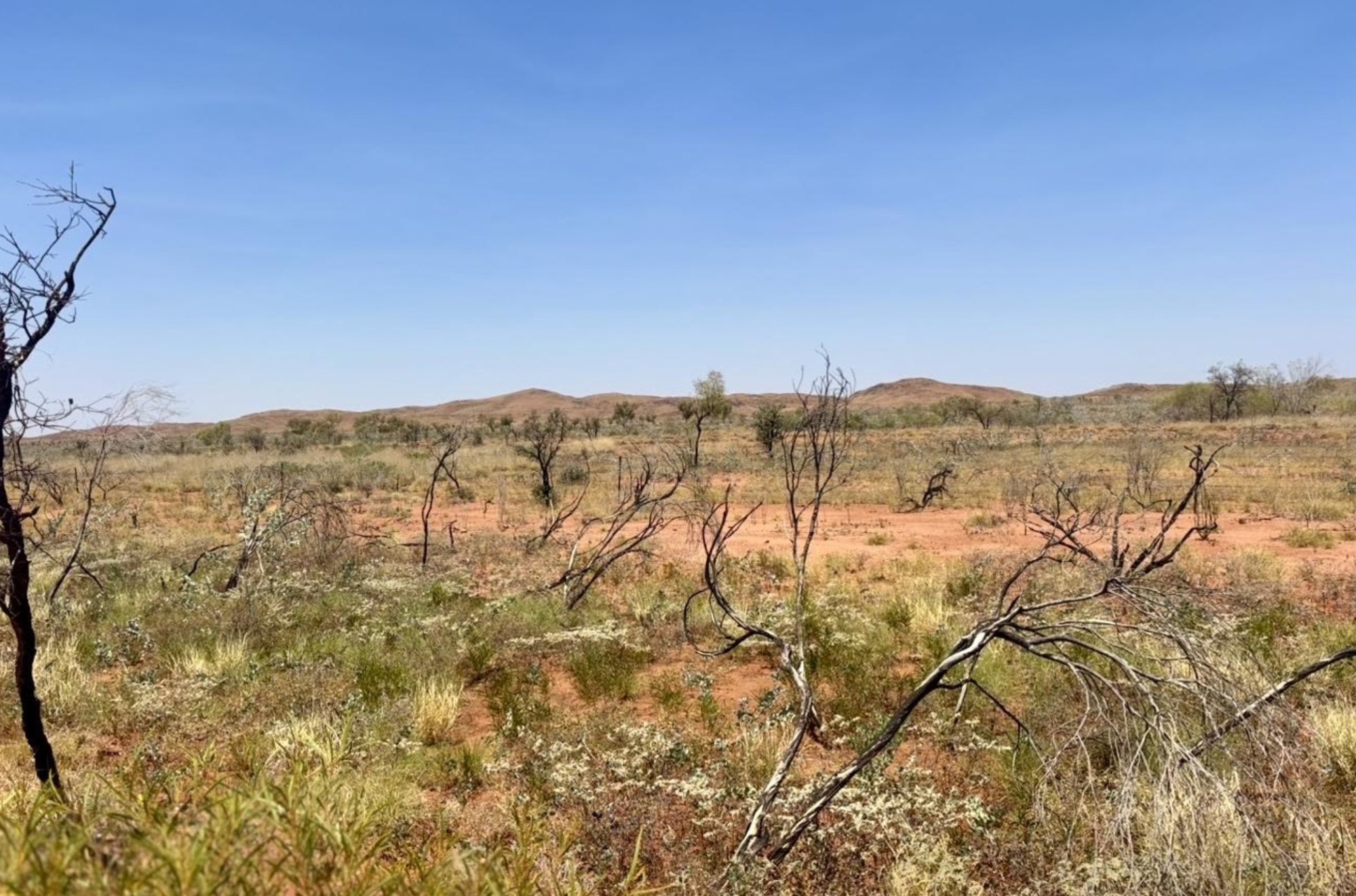 Six Aboriginal organisations receive funding to protect Pilbara heritage sites