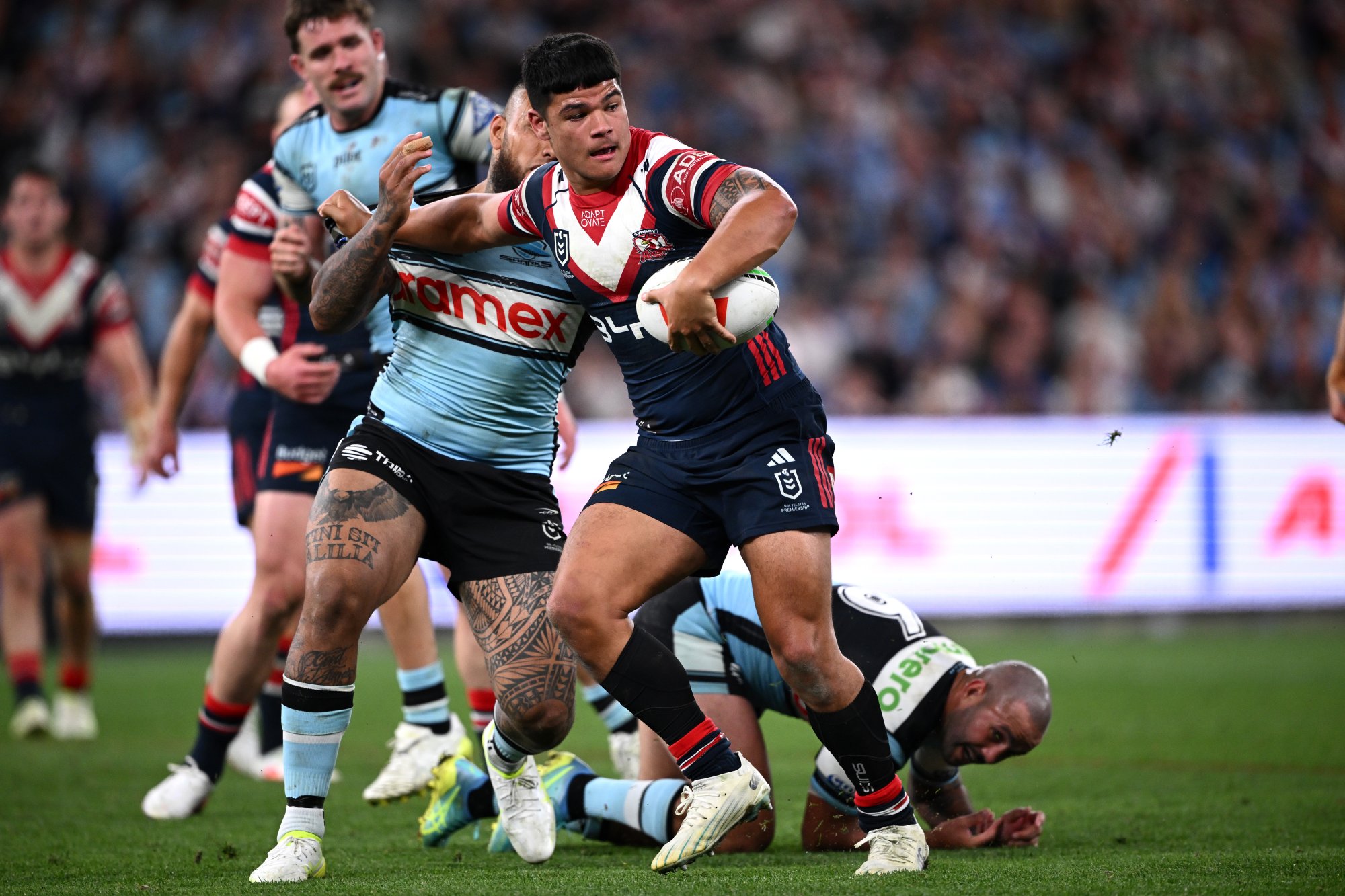 The Rooster aiming to fulfil Tongan dad's dream