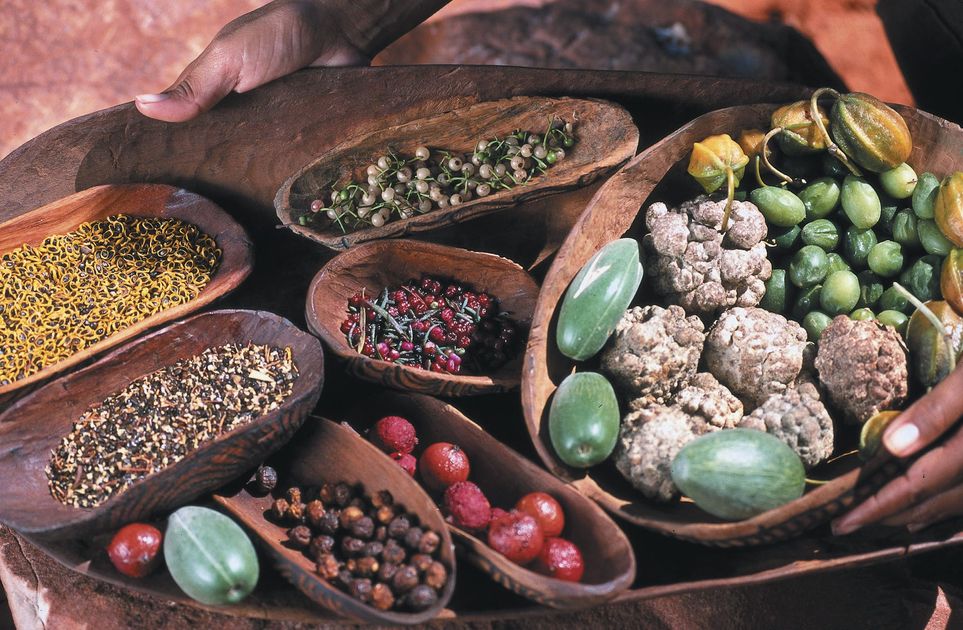 Native Food Riser How blockchain can bolster native food businesses | National Indigenous ...