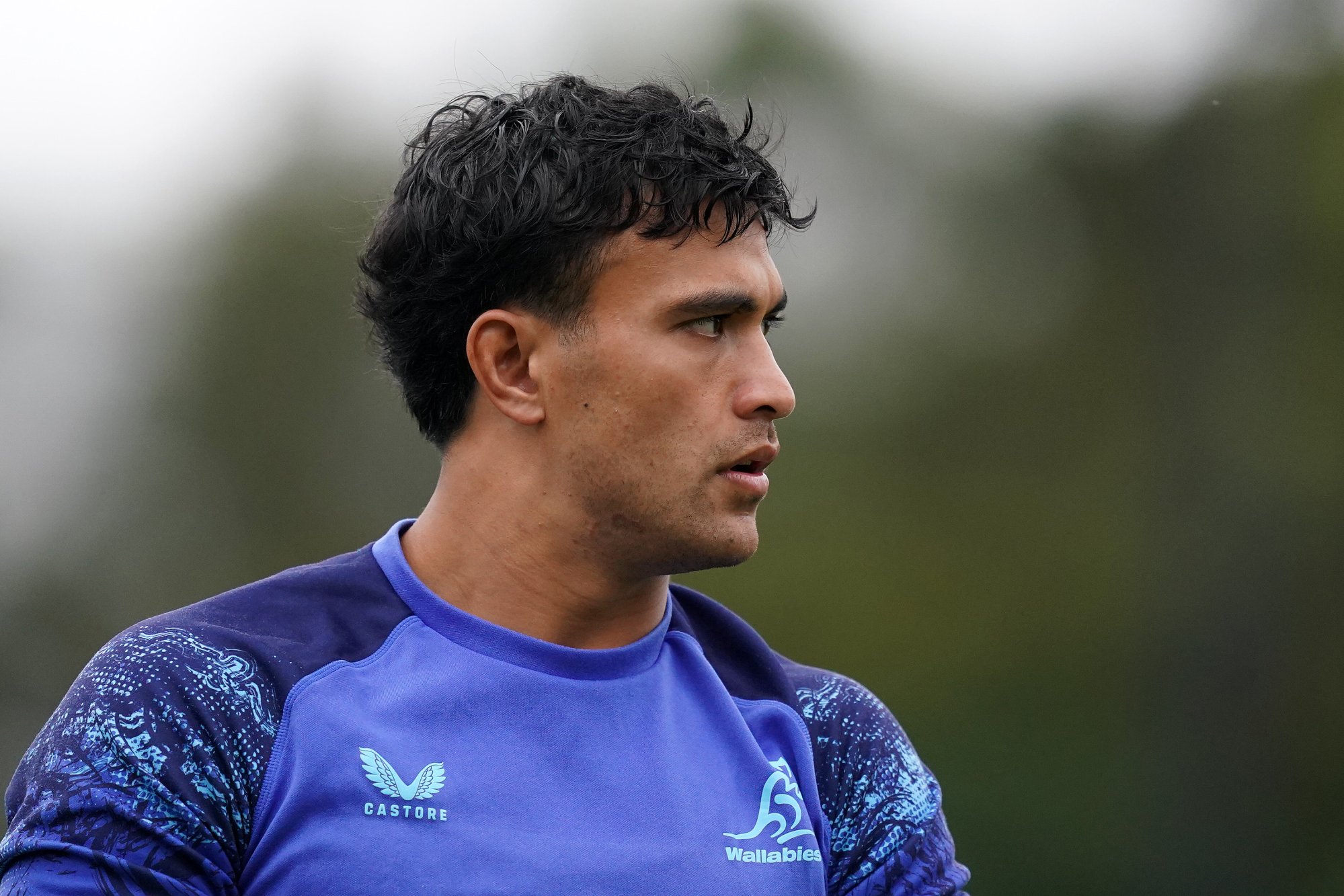 'We know': the Wallabies' new game plan for All Blacks