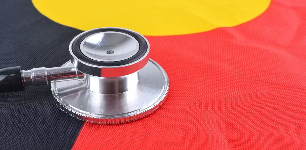Indigenous Check Up Audit finds Indigenous gaps in lifespan and health | National ...