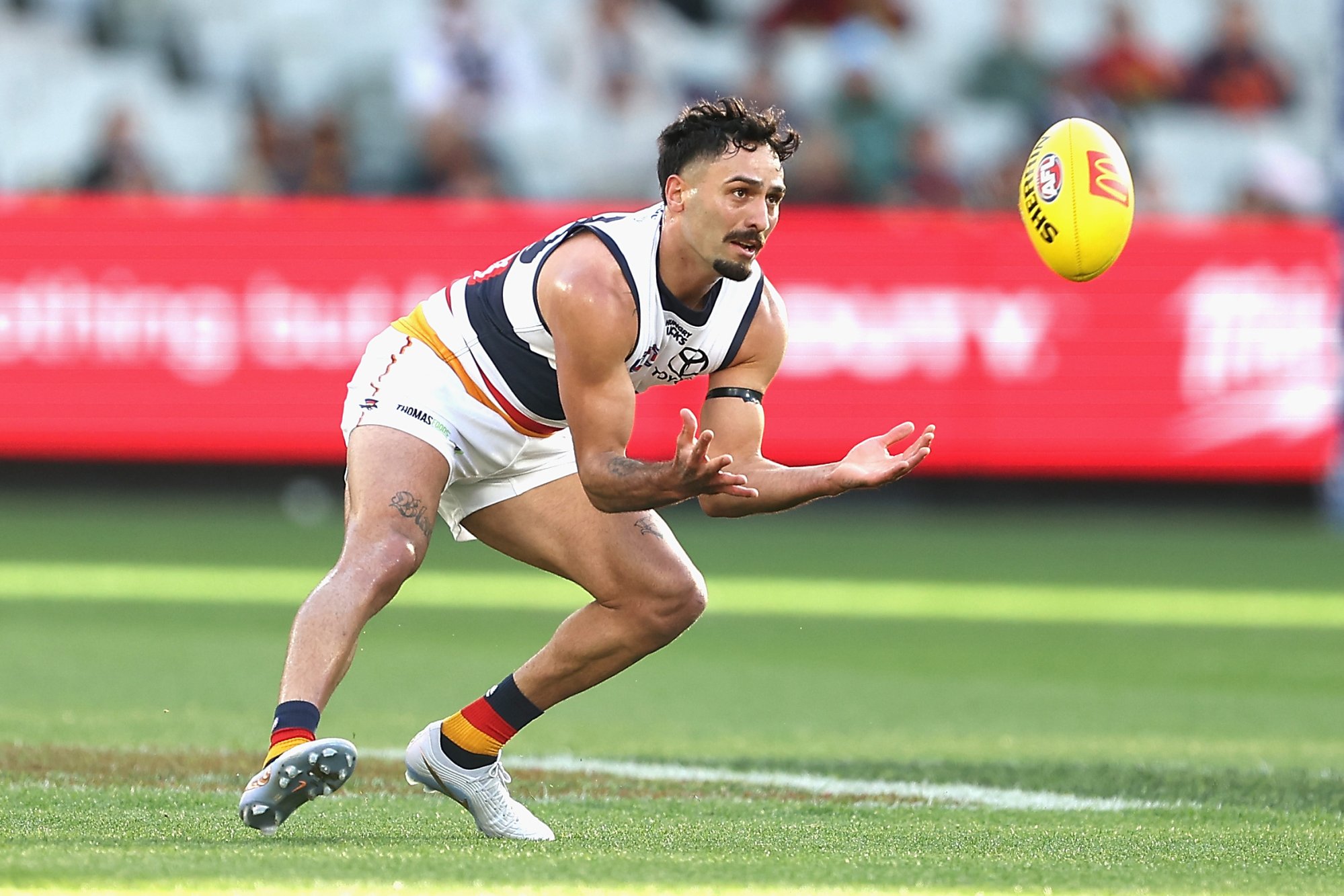 Rankine set to return for clash against Dees