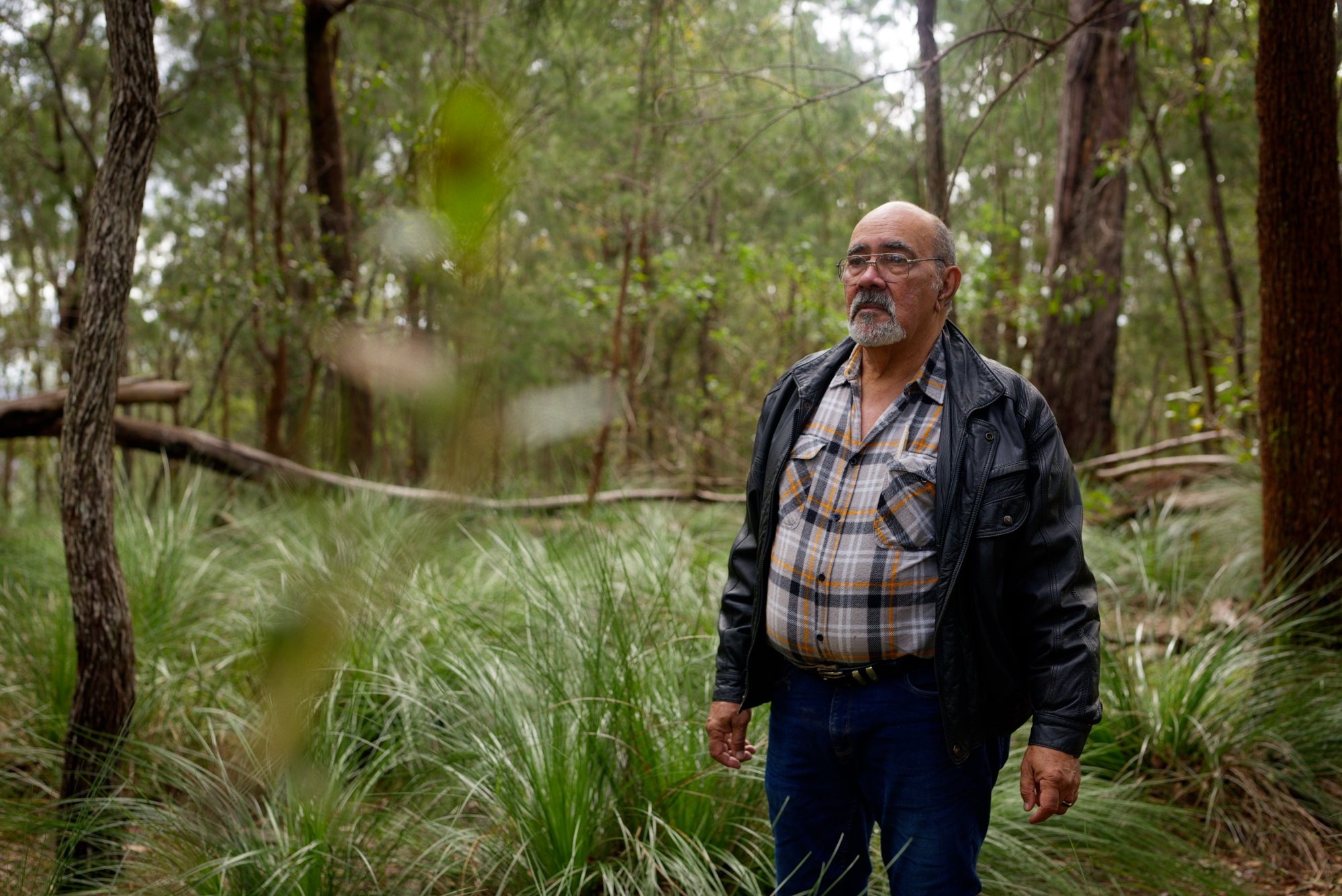 Traditional Owners reclaim access to rainforest Country