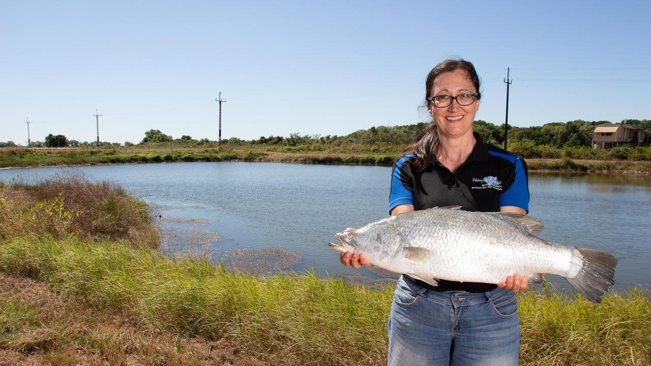 Big barra farm helps First Nations producers net income