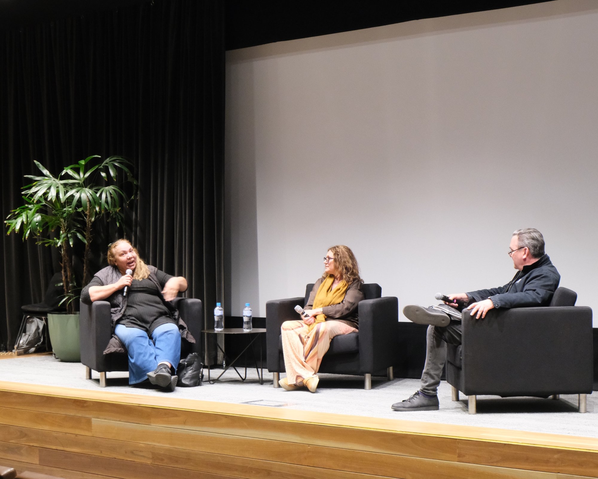Powerful First Nations story screens at NSW Parliament House