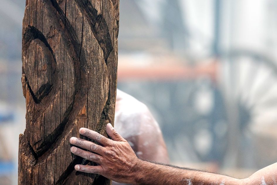 Scar Tree Display 'Incredible' return of carved tree inspires communi... | National ...