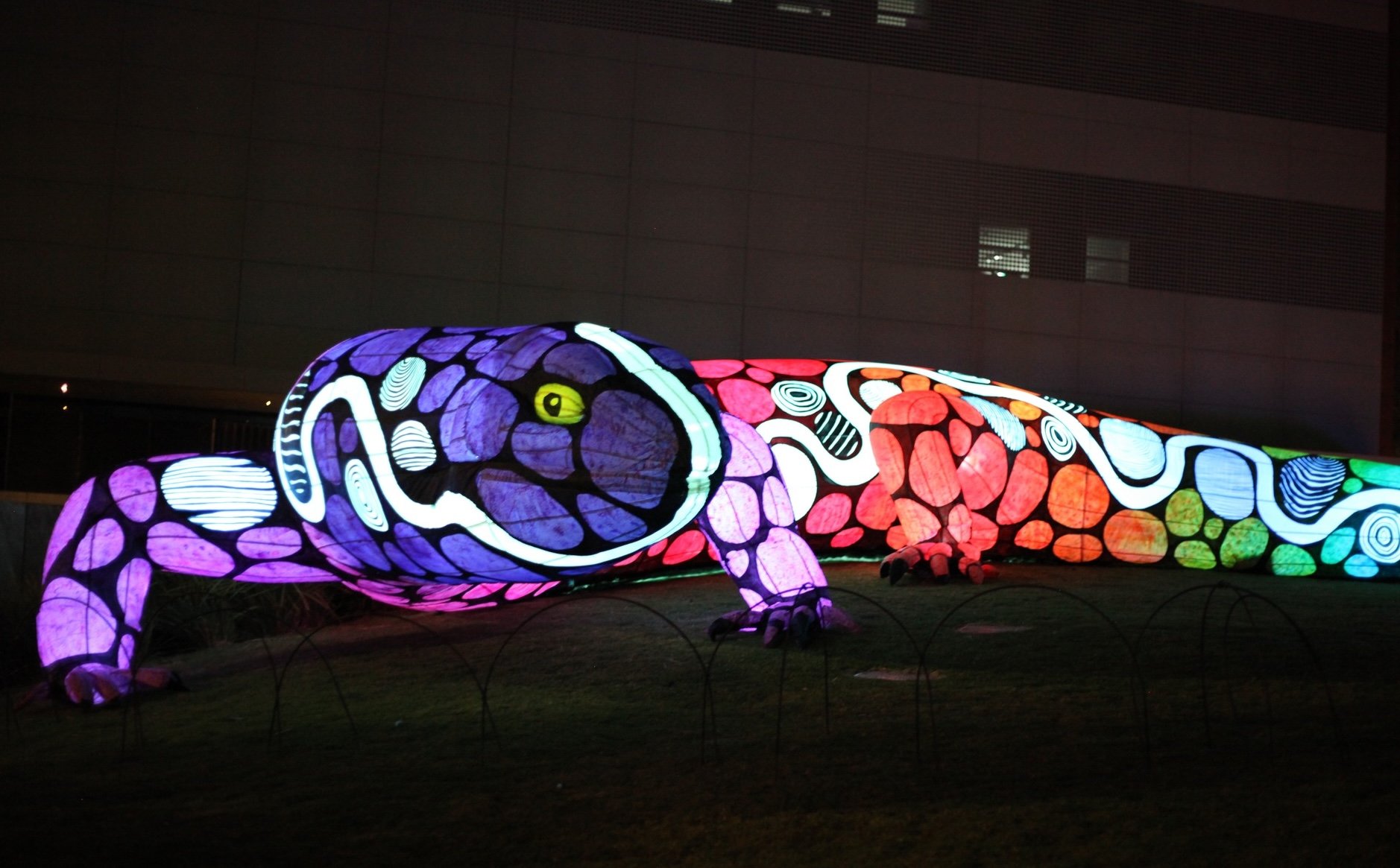 Giant skink brings Kaurna creation story to Naarm