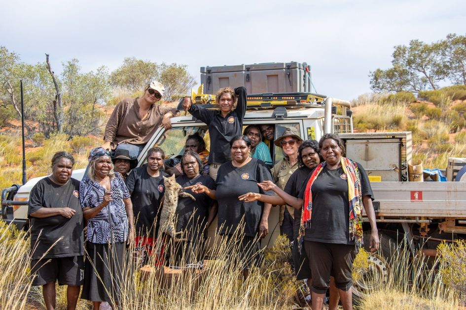 North Australia Ranger Desert rangers team up to tackle feral animals on M... | National ...