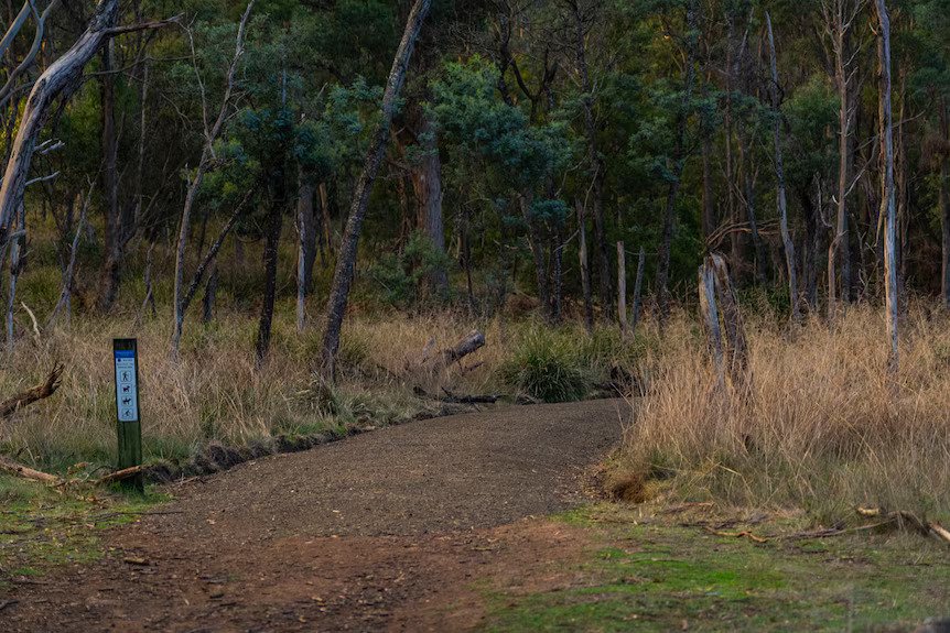 ‘Extremely concerned’: Alliance calls for review of damage to Tasmanian Aboriginal heritage site
