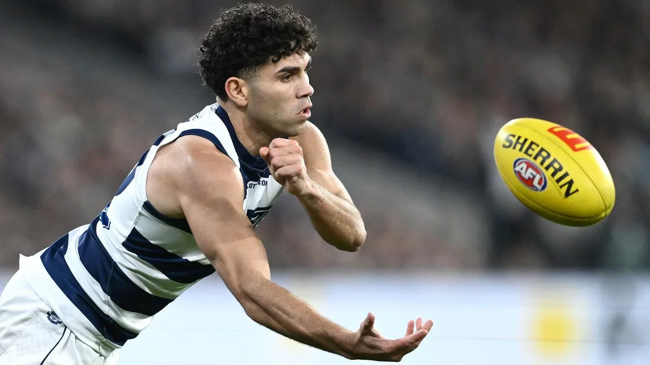 'We're not a charity': Cats coach on absent goalsneak Stengle