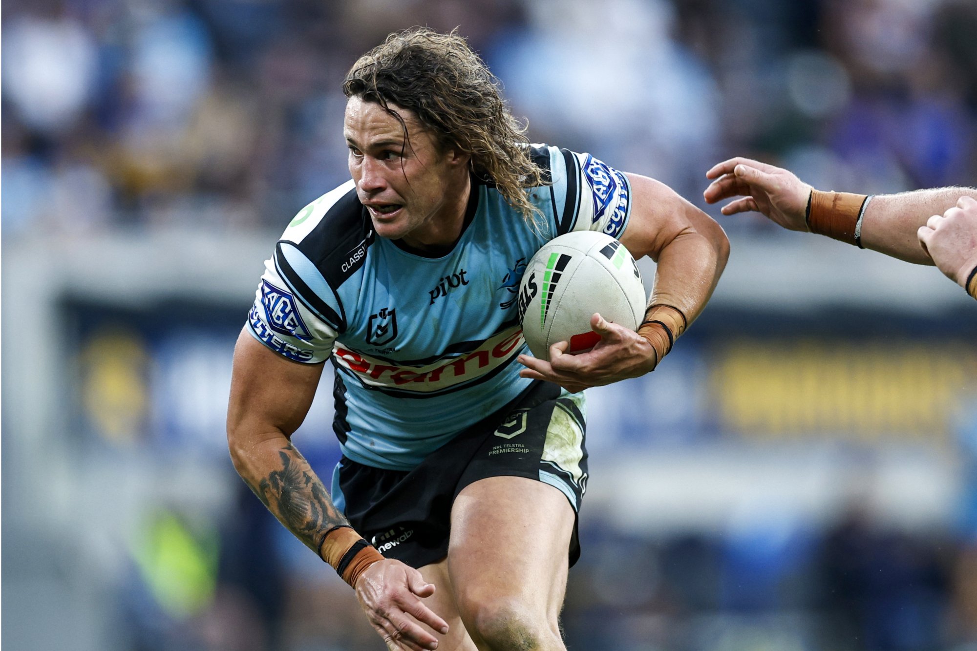 Sharks premiership window nowhere near closing: Hynes