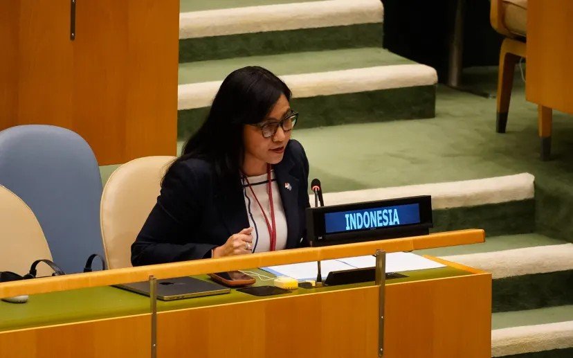 'Working continuously to address such allegations' - Indonesia defends its human rights monitoring in West Papua