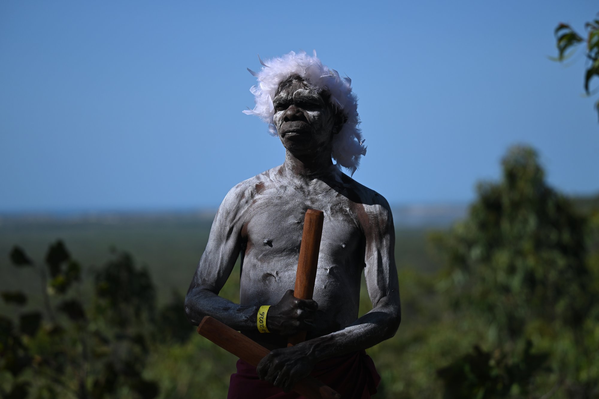 The Indigenous craftsman who listens for singing trees