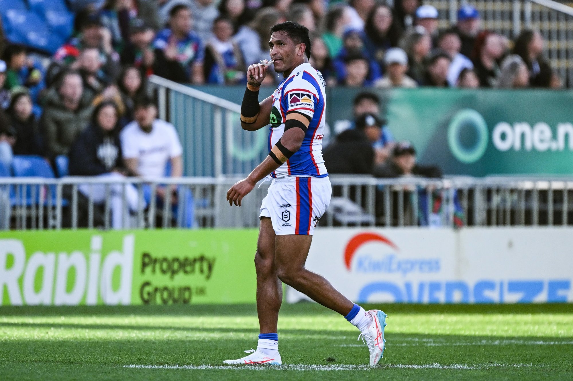Knights prop Jacob Safiti to miss finals after accepting lengthy ban at judiciary