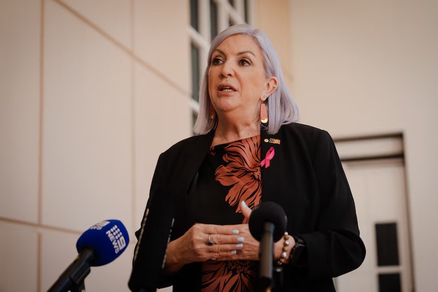 Minister attacks critics as NT pushes through controversial child protection laws