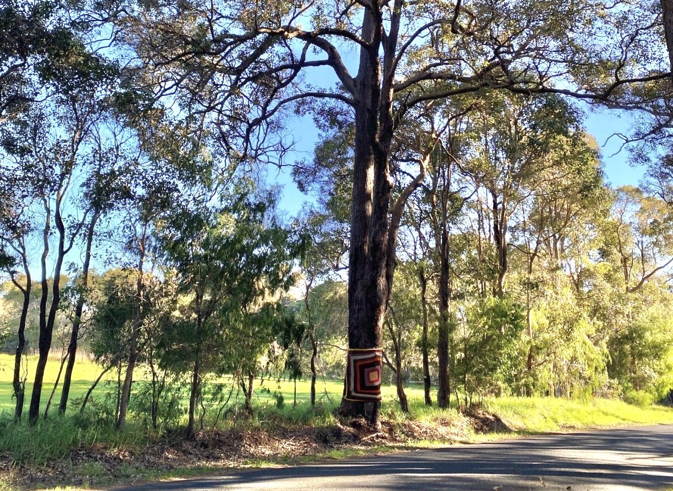 Exclusive: Local Council fails to consult Traditional Owners on clearing of Aboriginal heritage site