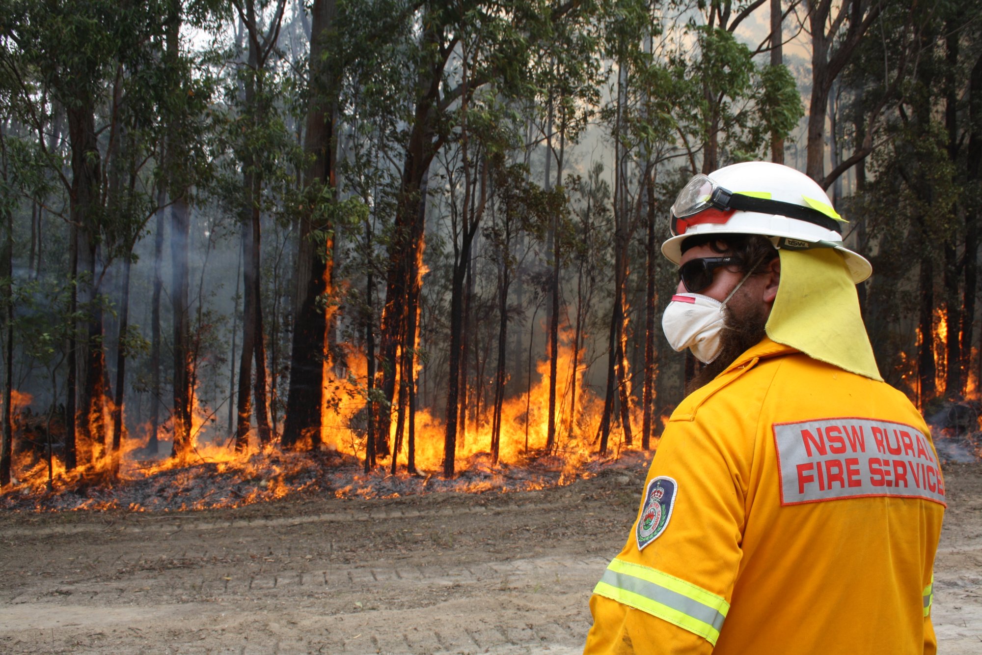 Restoring Indigenous cultural burning could help break 'catastrophic fire loop'