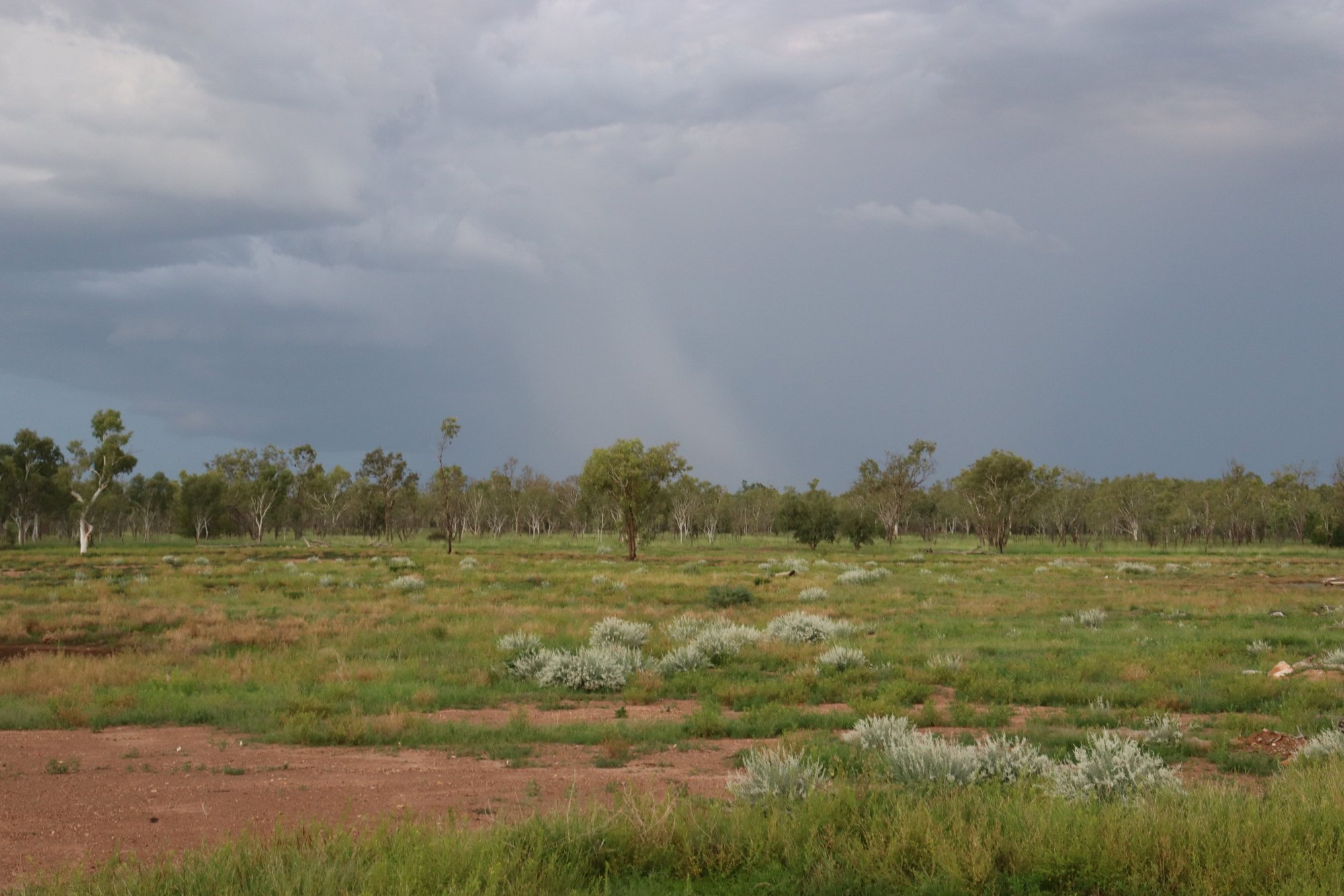Indigenous ranger groups call for funding boost as costs rise
