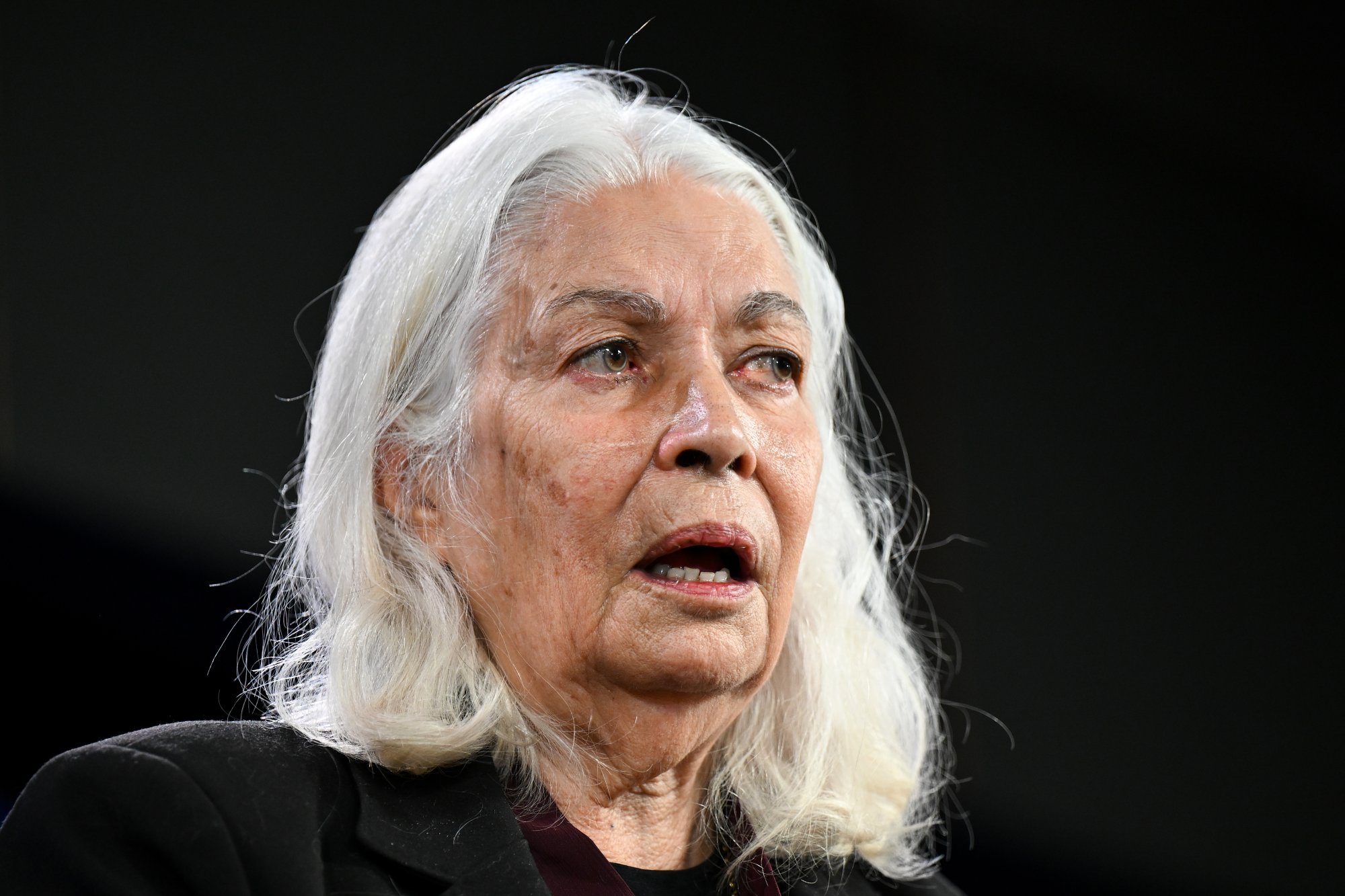 Aboriginal advocate alleges arrest over racism research
