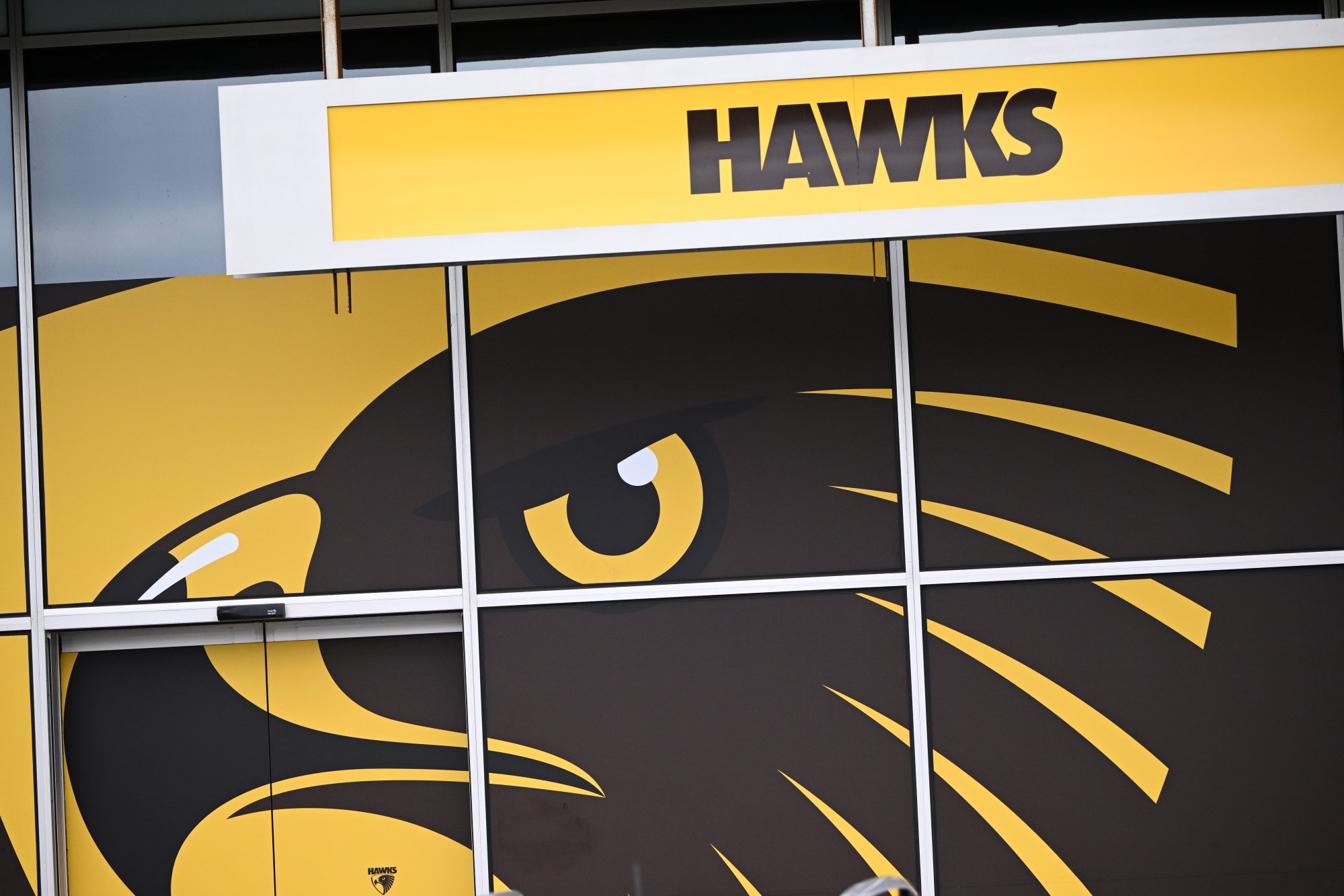 New documents from Hawthorn racism investigation come to light