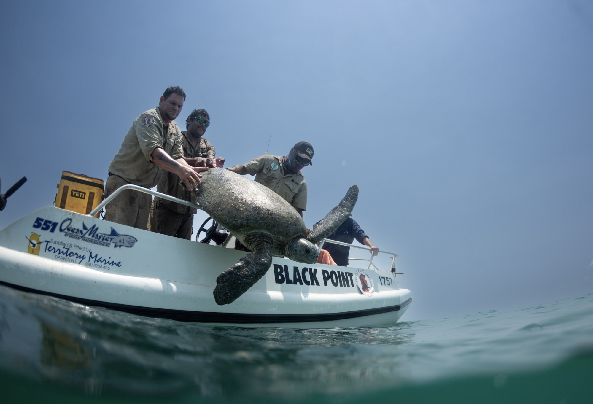 First Nations ranger knowledge reveals threats facing Northern Territory green turtles