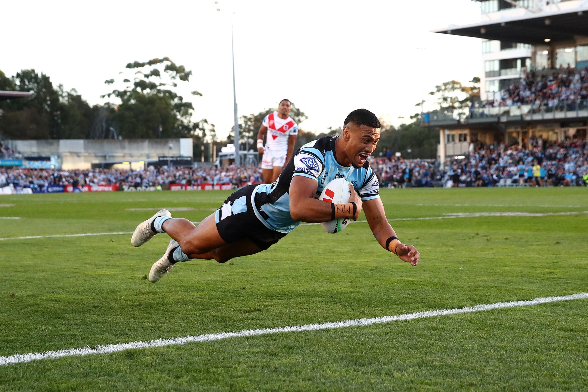 Sharks flyer Mulitalo on fire after ACL recovery