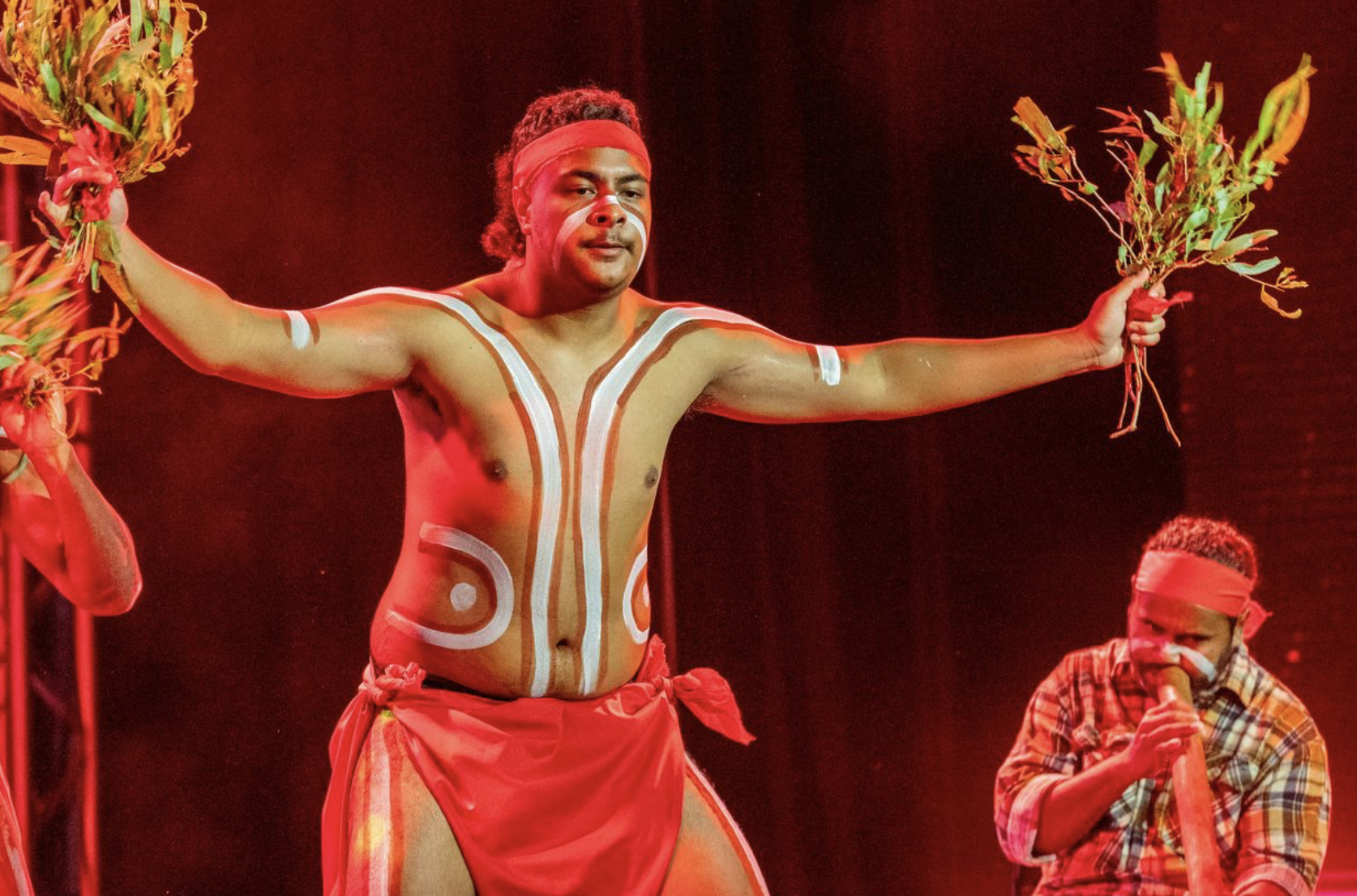 Cairns Indigenous Art Fair to present The Dance of the Butterfly