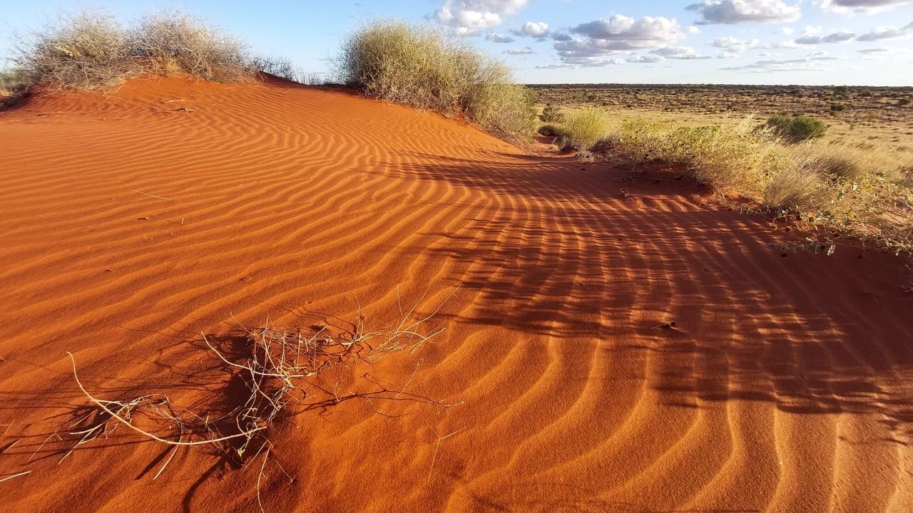 New Simpson Desert Indigenous Protected Area marks conservation milestone