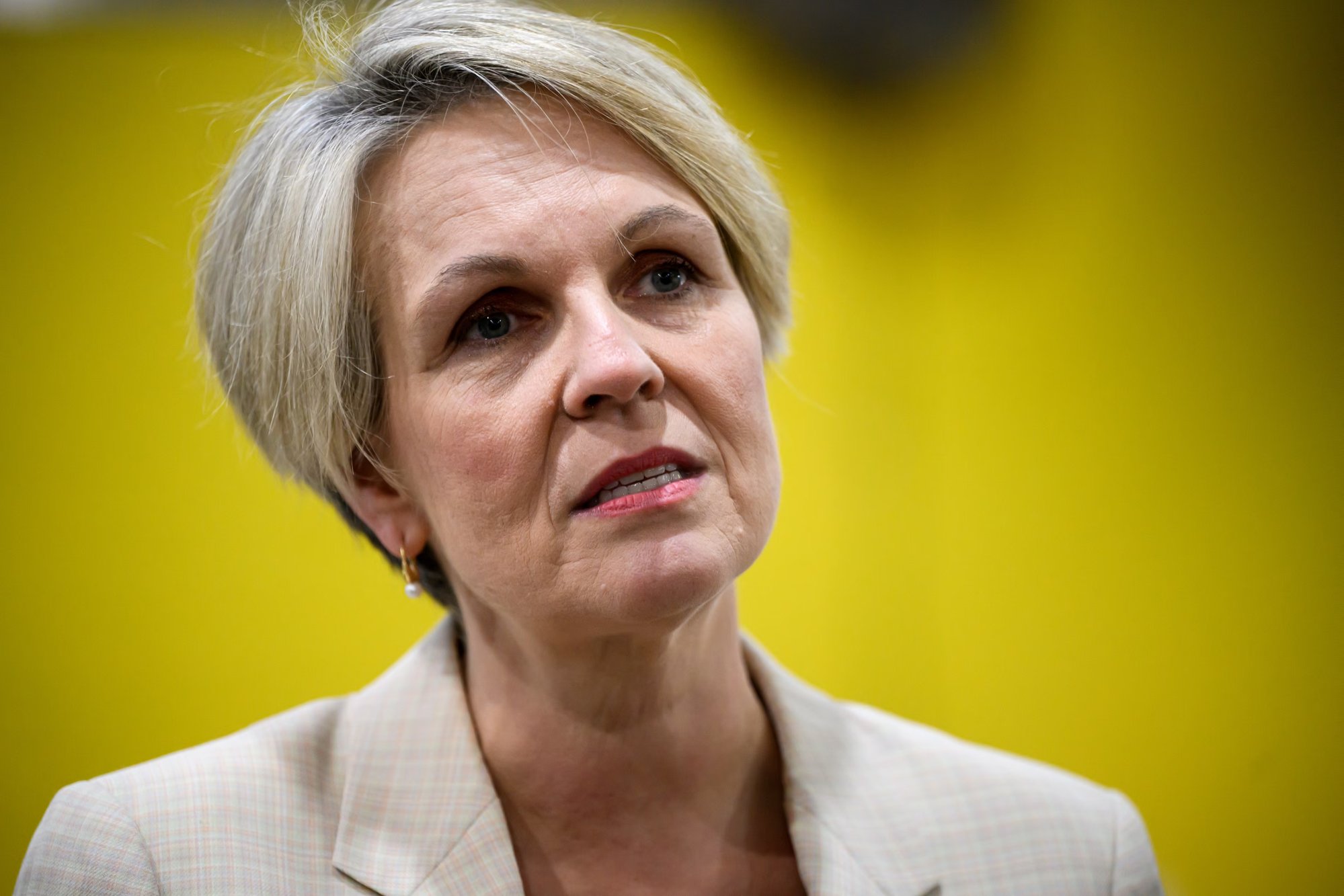 Plibersek: NT alone on child placement principle stance