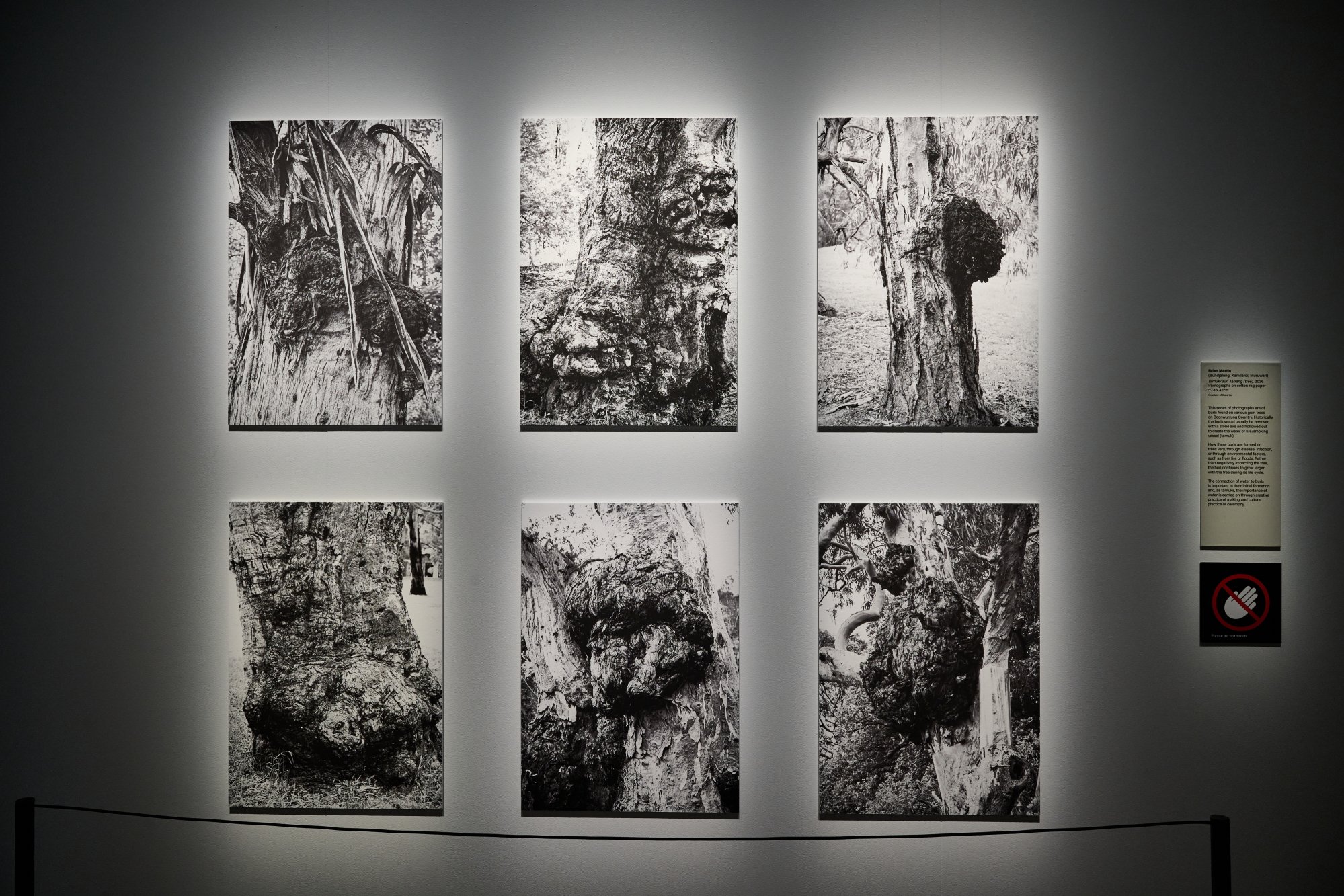 Bunjilaka welcomes 'ngiyama mirrim baany yulendj: reawakening deep water knowledge' exhibition