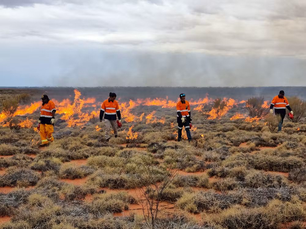 Indigenous Desert Alliance welcomes WA government funding for globally significant fire program