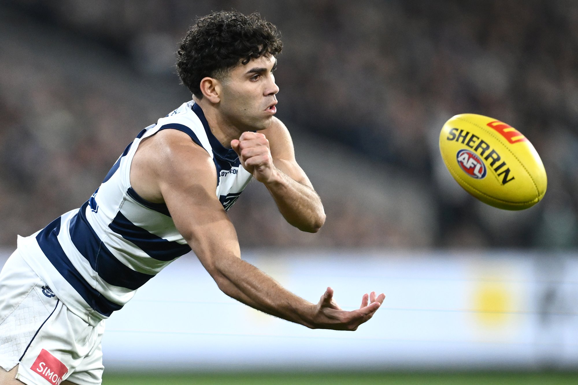 'Close to a miracle': Cats boss on Stengle's AFL career