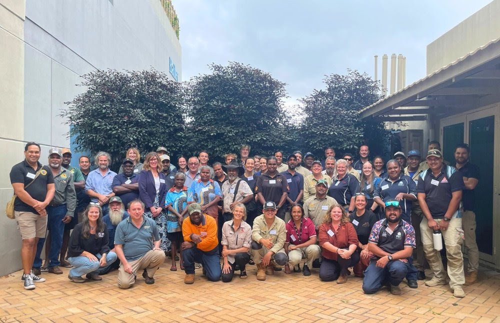 Turtle Rangers Head Indigenous rangers lead turtle protection push acro... | National ...