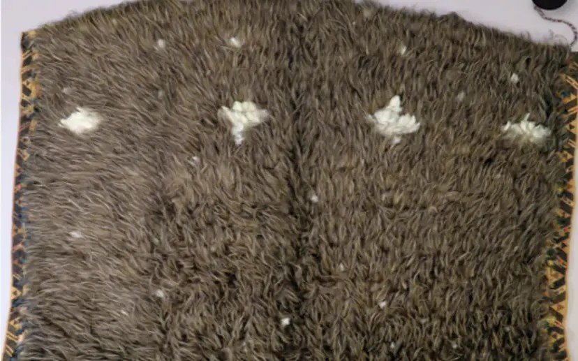 Traditional kiwi cloak returned to Māori community after more than a century in British museum
