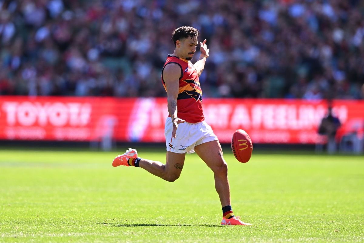 Rankine's hot form earns top 10 Brownlow finish, Pickett goes home empty handed