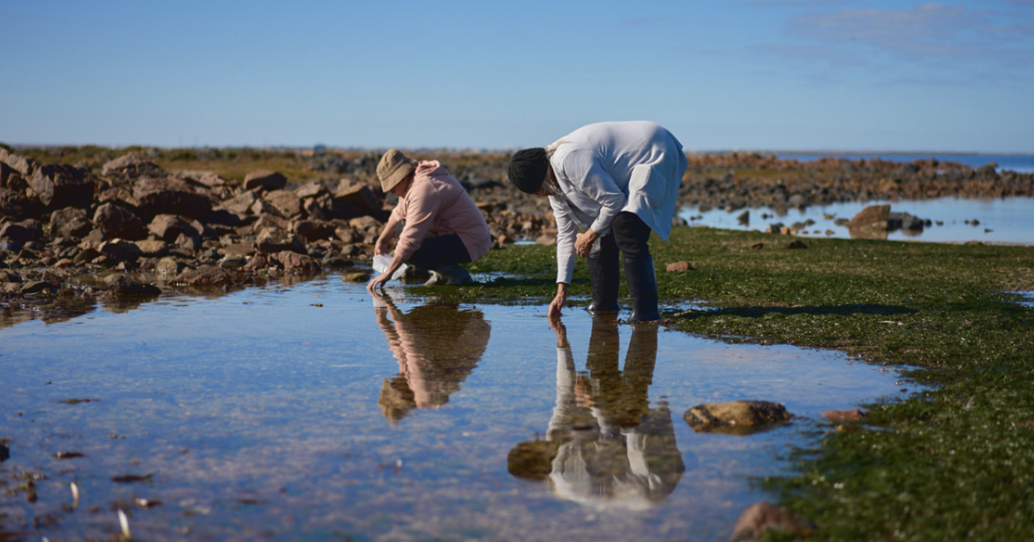 Saltbush Country arrives in Broken Hill
