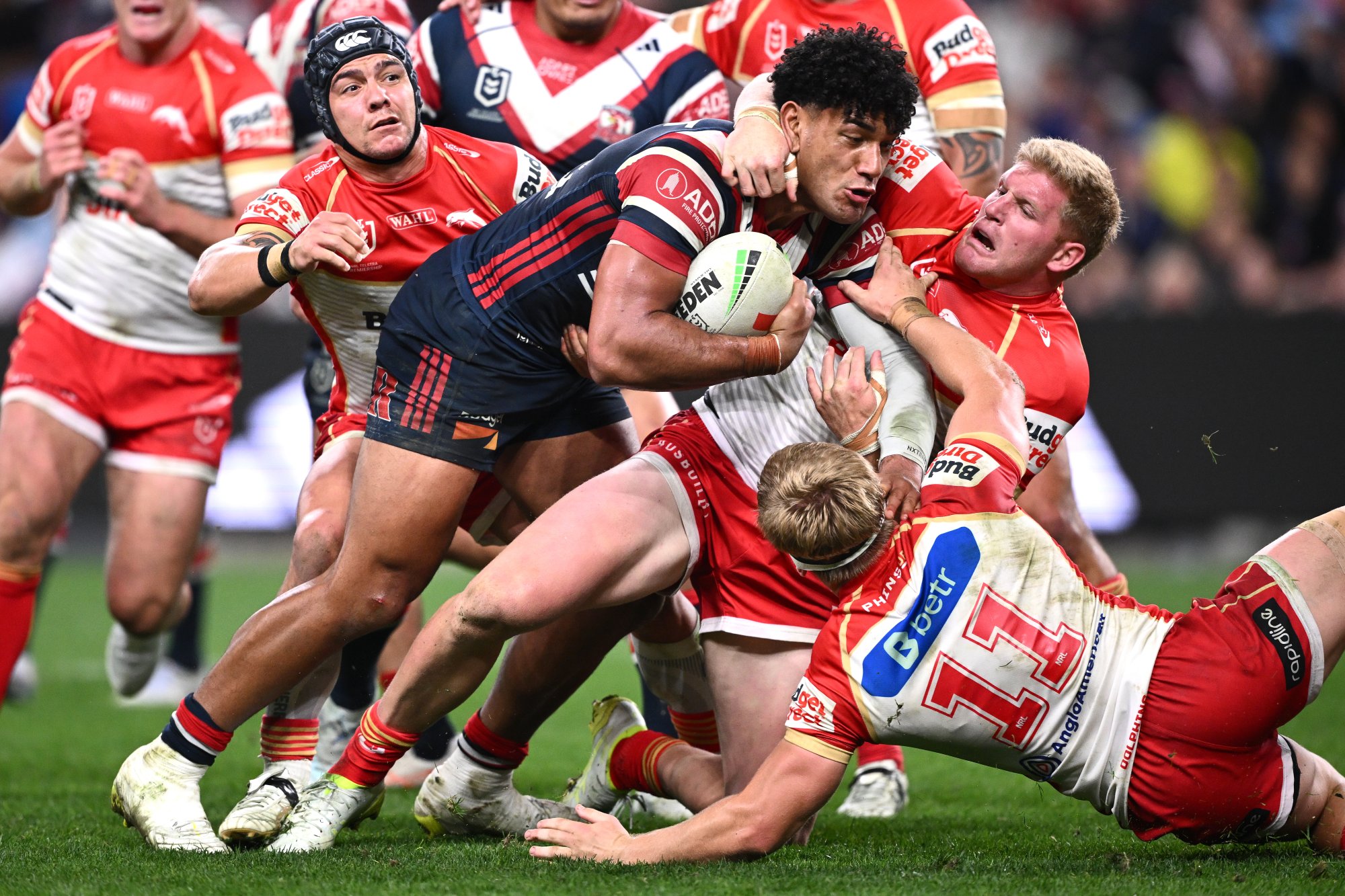 'Go after him': Tongan tearaway to target wounded Shark
