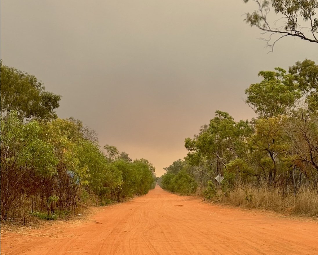 Aboriginal woman dies from rare mosquito-borne virus after Kimberley travel