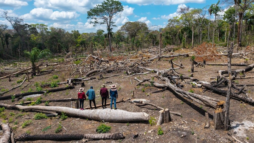 New tool reveals siege on Indigenous lands in Bolivia’s Amazon