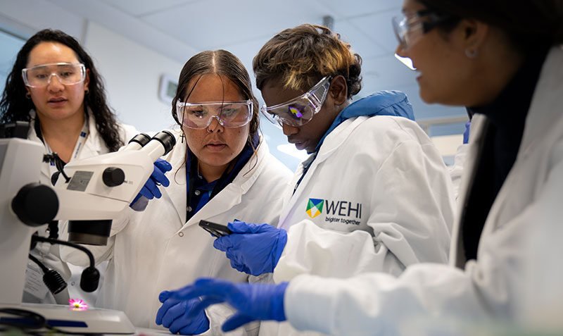 Record participation in program connecting First Nations students to science pathways