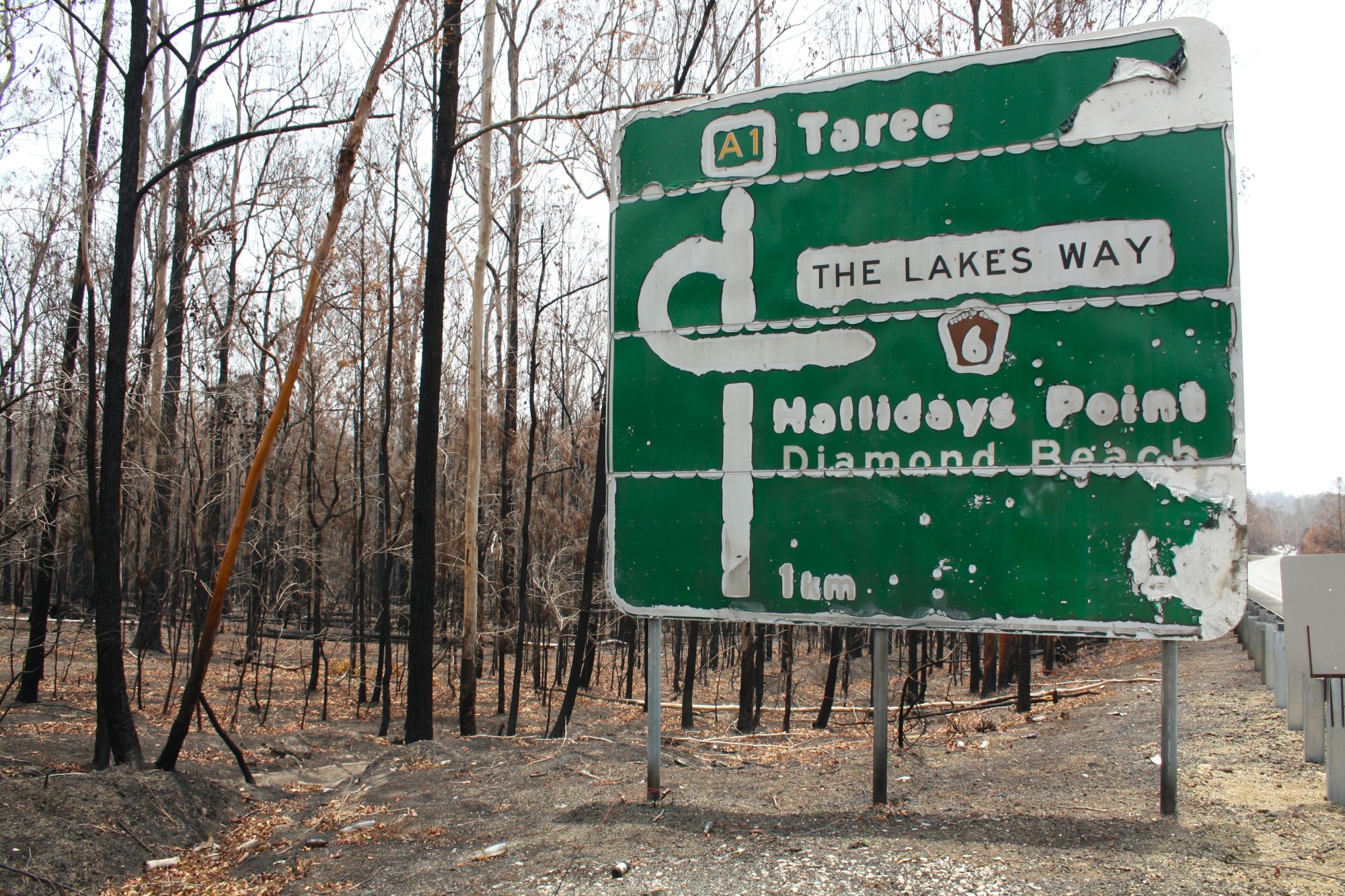Colonisation, not climate change, first primed these forests to burn