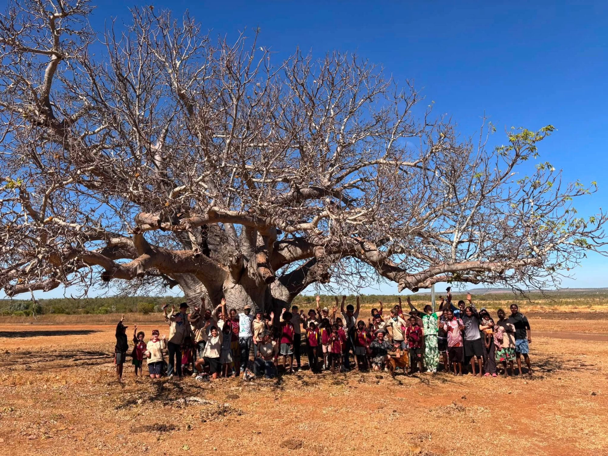 Kalumburu students’ boab artwork to feature in new book
