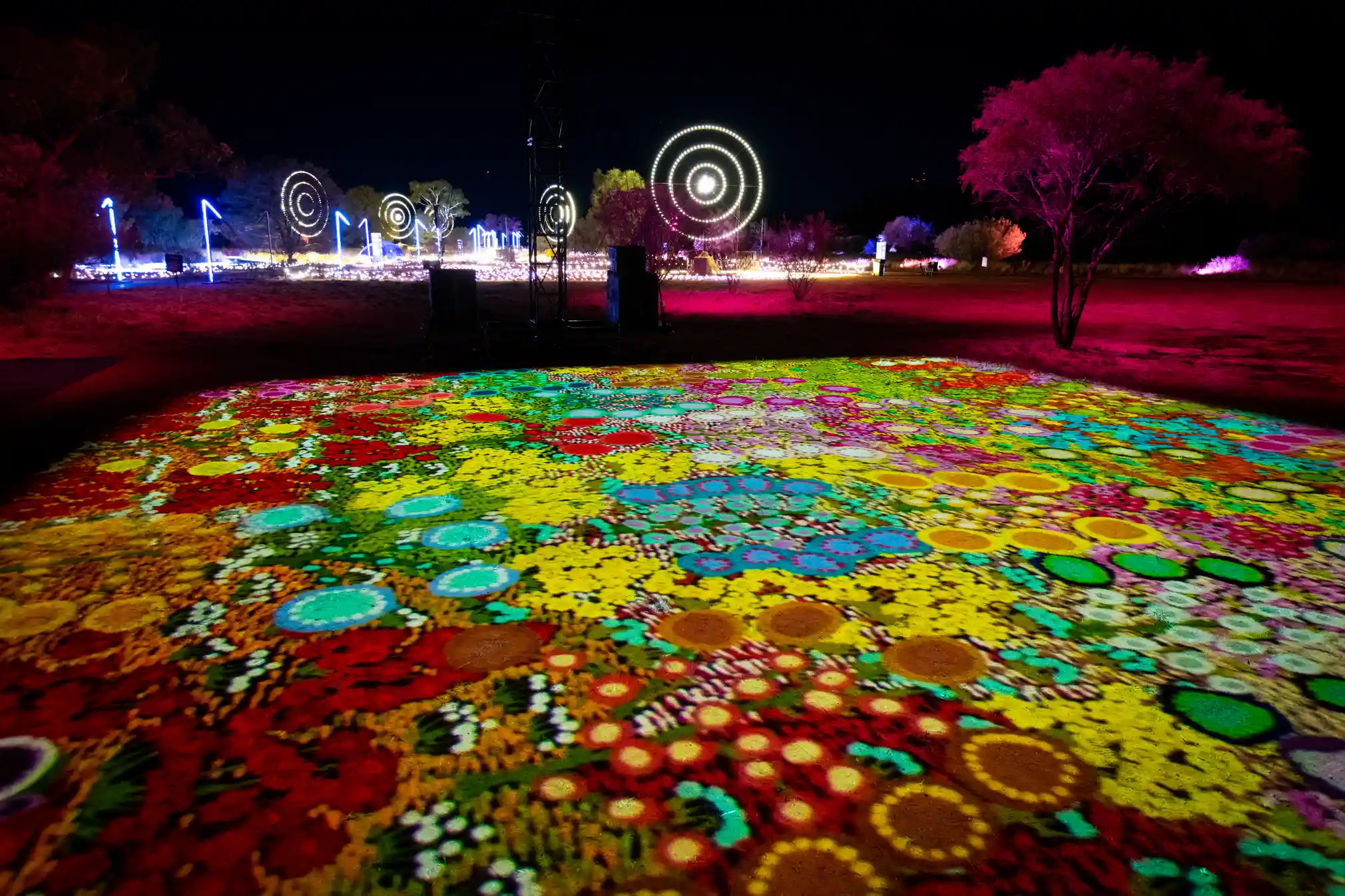 Bush Flowers by Pammy Kemarre Foster formed part of the Grounded projections.