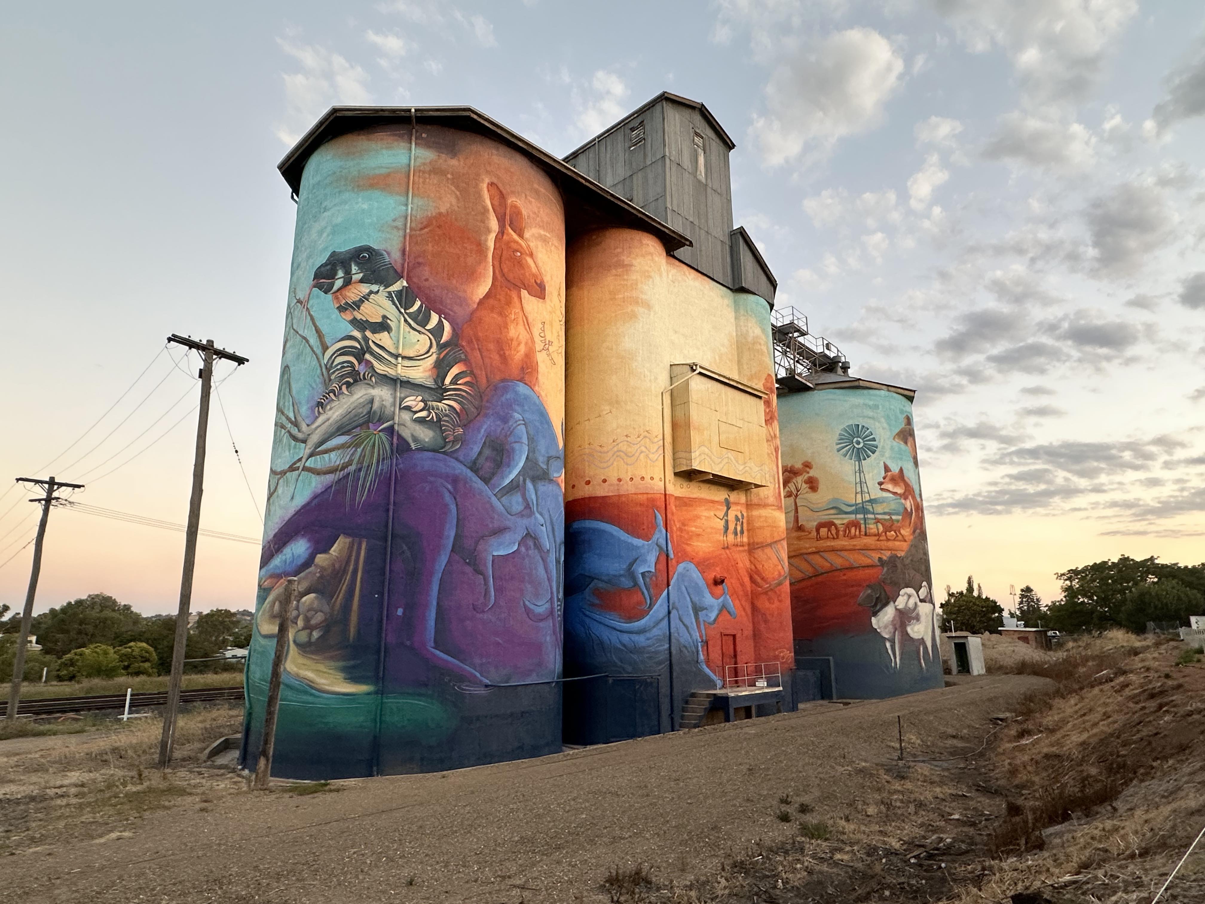 Suppplied: Quirindi's Silo Artwork