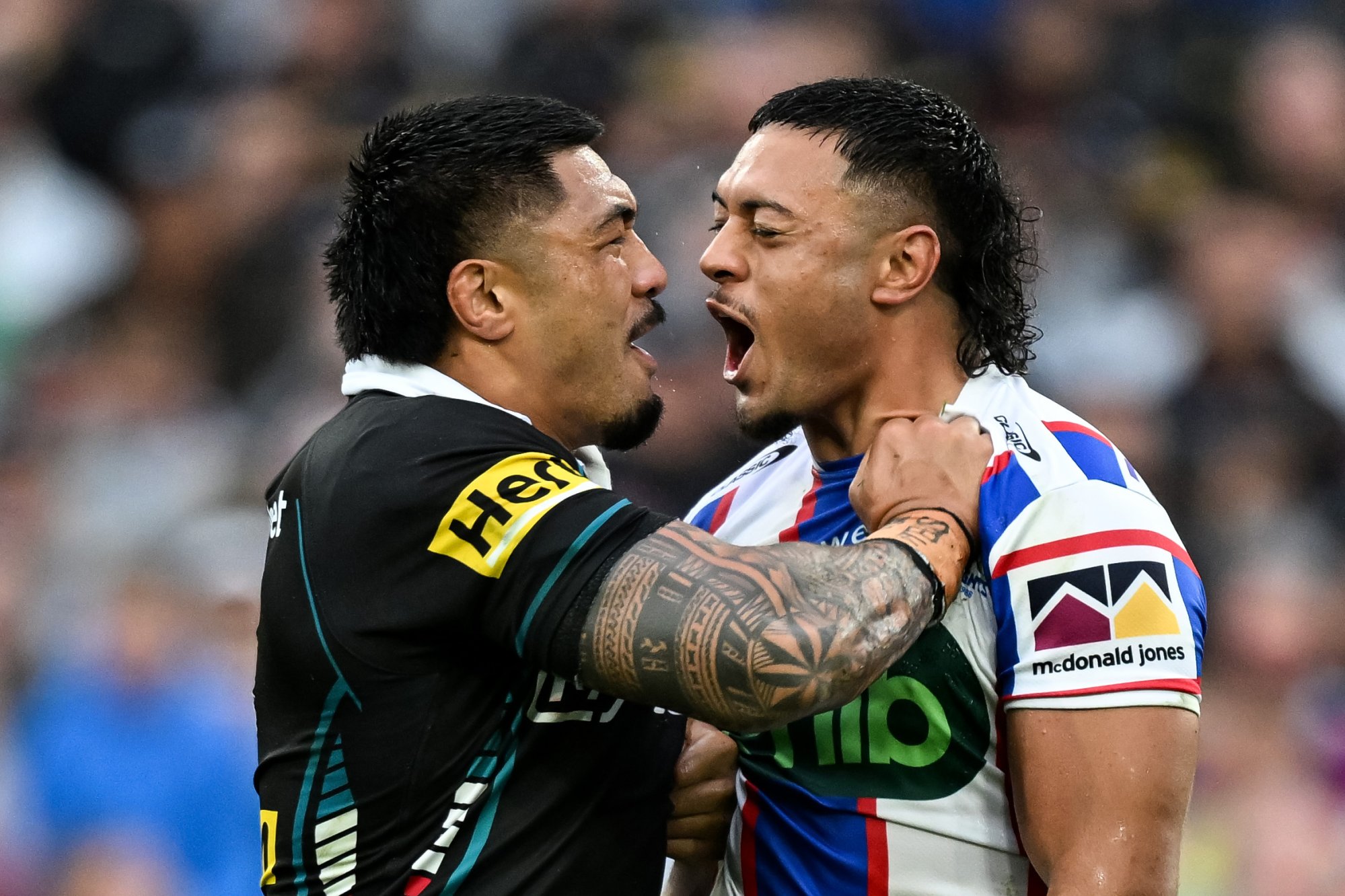 Why Knights loved sight of McEwen goading Penrith alpha