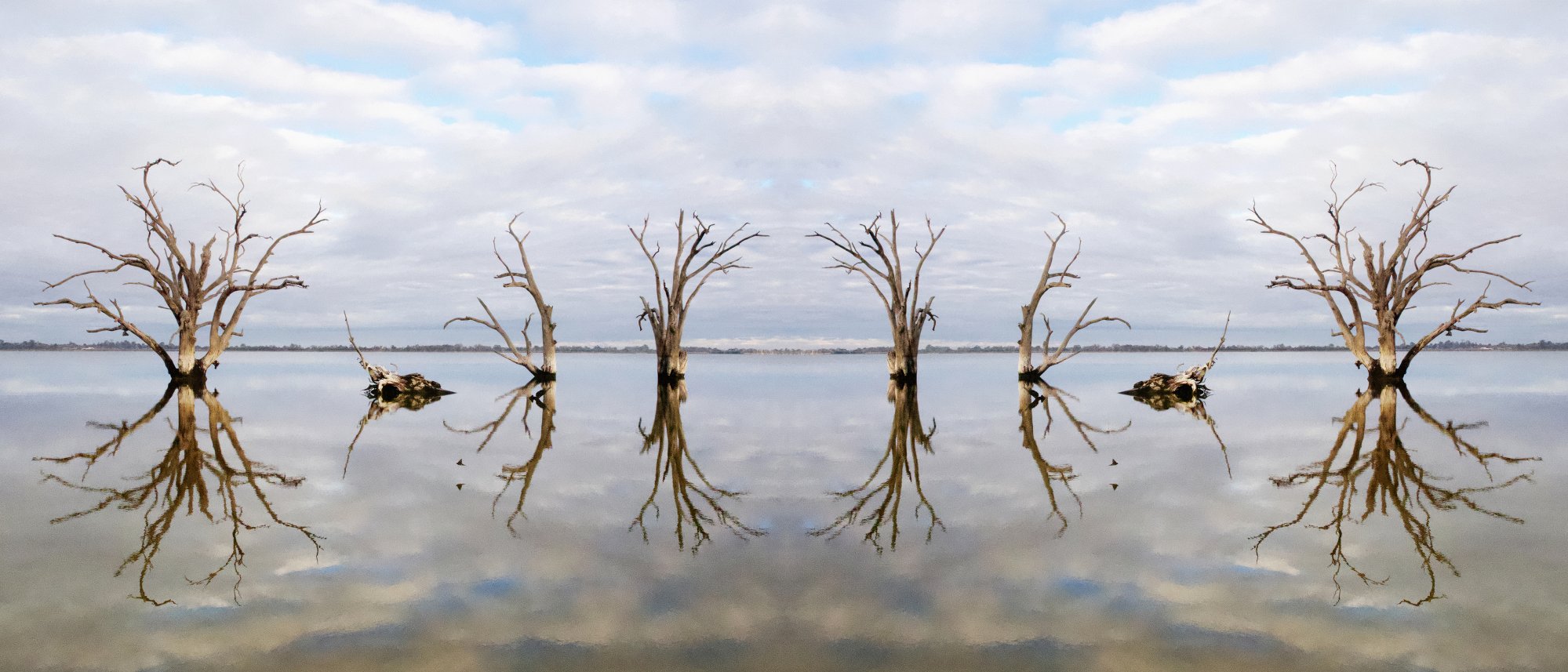 Connection to waterways celebrated in NAIDOC Week exhibition