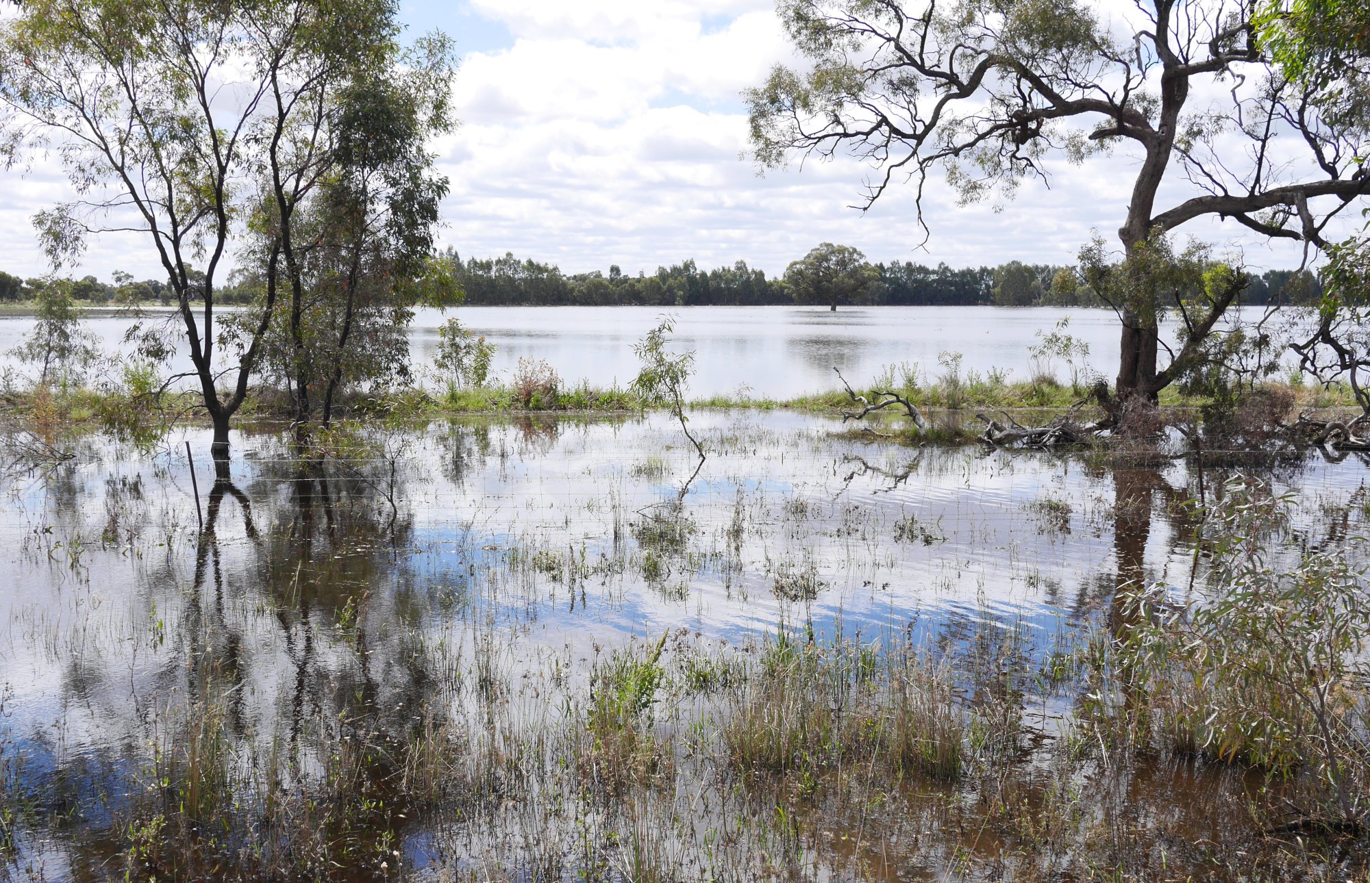 Hopes of a path forward for the Murray-Darling Basin